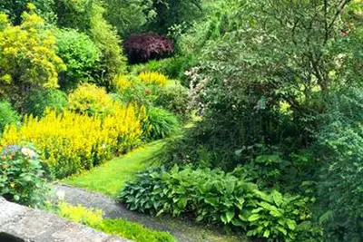 Image de Cwm Irfon Lodge Cottages