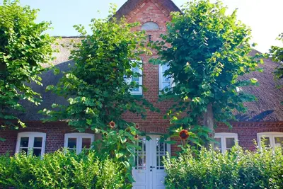 Image de Maison de vacances pour 6 personnes avec 76 m² à Wyk-Boldixum (121677)