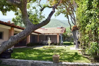 Image de Galeanas (tulipes africaines). Véritable vie élégante de style hacienda à Ajijic.