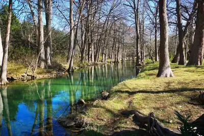 Image de Endroit idyllique juste sur le Cypress Creek! Proche de la ville. Une escapade parfaite!