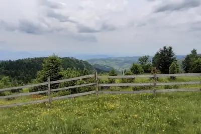 Image de Vacances dans la forĂŞt avec vue magnifique sur la ville de Sarajevo