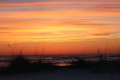 Tropical Villa Anna Maria Island