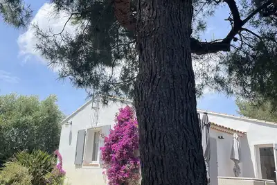 Image de Jolie maison rénovée 100m2, jardin, 1, 5km, Sablettes, Mar Vivo, criques Fabregas
