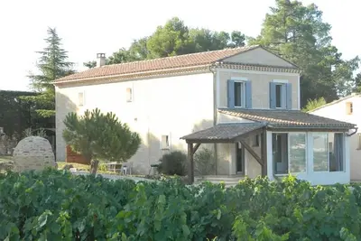 Image de En Provence, au milieu des vignes! face au mont Ventoux
