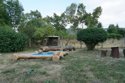 Image de Albig Alte Mühle