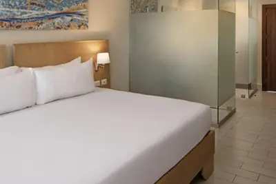 Image de La Junior Suite Tropicale