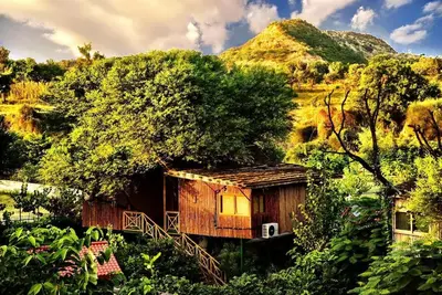 Image de Charme brut de la nature Tree House Resort / Jaipur