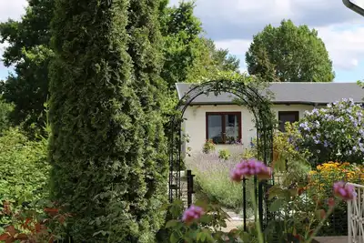 Image de Bungalow Carpe diem - Carpe diem