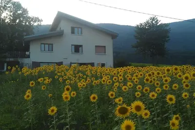 Image de Petit appartement  chez l'habitant