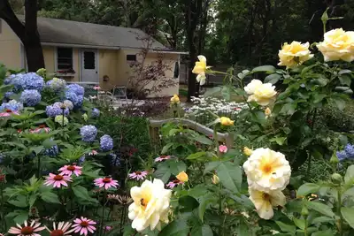 Image de Charme Cape Cod Cottage
