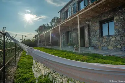 Image de Nouveau! Splendide villa vue mer, face au Portofino, à 30 minutes du Cinque Terre