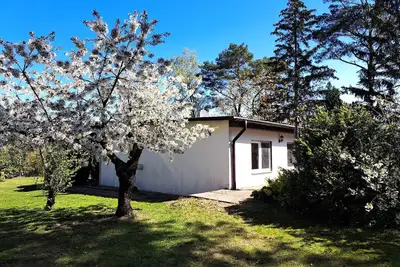 Image de Maison de vacances Altwarp pour 1 - 2 personnes avec 1 chambre à coucher - Maison de vacances