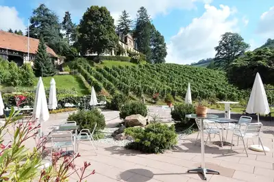 Image de Vignoble Neveu Josephsberg 2