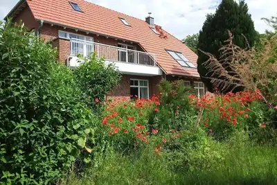 Image de Appartement de vacances Sehlen pour 1 - 4 personnes avec 1 chambre à coucher - Appartement de vacanc