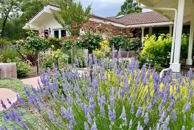 Image de Propriété viticole sereine et reposante