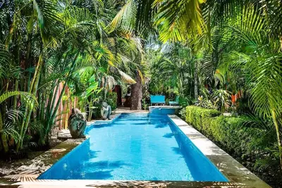 Image de Singes et perroquets Lush Paradise (Ajout)