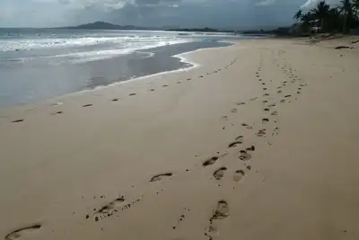 Image de Suite de luxe sur la plage à Puerto Villamil, Isla Isabela (Lire l'annonce en premier)