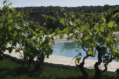 Image de Masseria Camarda 5 étoiles ferme