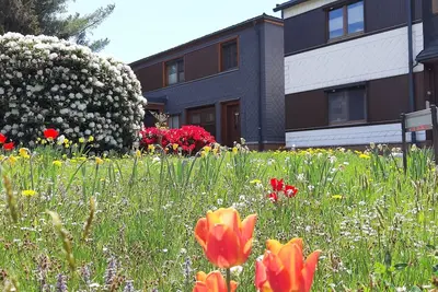 Image de Appartement / app. pour 3 personnes avec 50m² à Meuselbach-Schwarzmühle (123014)