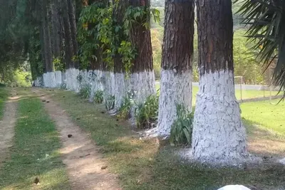 Image de Finca / Ă louer Ă Franco da Rocha / Sp.