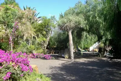 Image de Finca étendue et restaurée - mobilier haut de gamme - 2000 m² de jardin