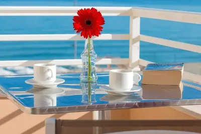 Fantastique vue sur la mer