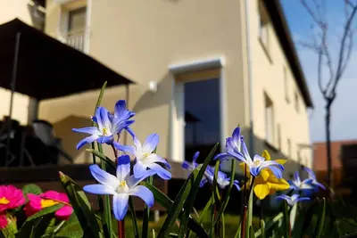 Image de Maison de vacances entre le Rhin, le vin et la forêt du Palatinat 🌳🍇