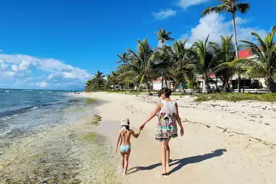 Spacieux T2 entièrement climatisée Crystal Beach  bord de plage - Dany Caraibes