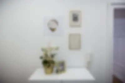 Image de Il Sogno di Scipione