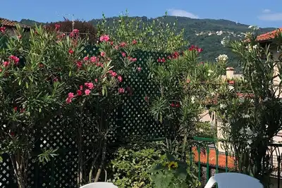 Image de Une terrasse avec vue sur la montagne, appartement calme et spacieux.