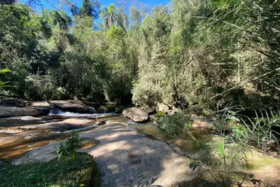 Image de Site Blue Butterfly - Paradis dans la Serra da Cantareira