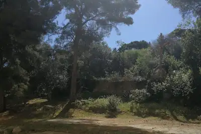 Très bel F3 bien situé