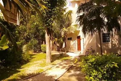 Image de Mini Pini Loft House pour observer les oiseaux