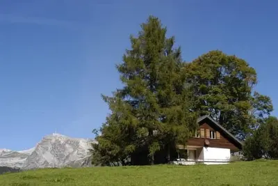 Image de Maison de vacances Wildhaus pour 1 - 8 personnes avec 4 chambres Ă coucher - Maison de vacances