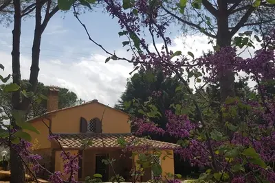 Image de Maison de campagne sur la pierre immergée dans le vert des oliviers de la colline
