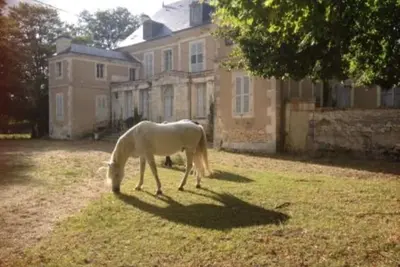 Venez au Château Laleuf pour une cure de désintoxication numérique!