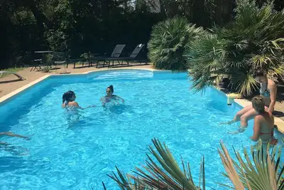 Image de Villa provençale avec ses grands pins et sa piscine