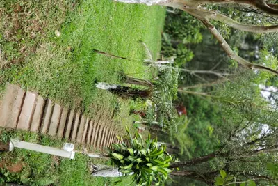 Image de Ferme avec piscine, barbecue et beaucoup de verdure.