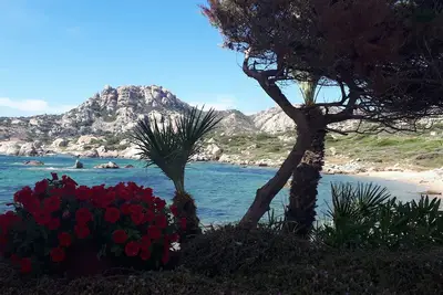 Image de Bel appartement à quelques pas de Punta Tegge