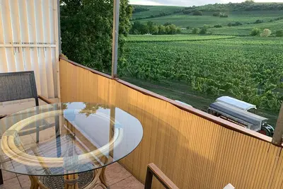 Image de Nouveau: Oppenheim Apartment Martin