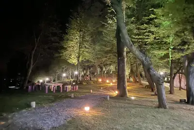 Image de La maison dans le bois magique