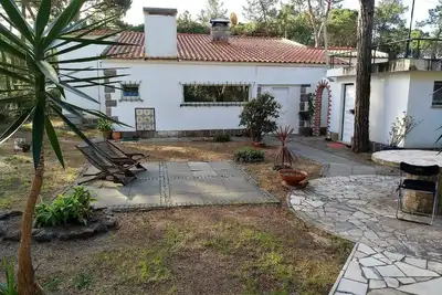 Image de ** Sintra Banzão Vh's **