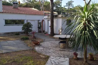 Image de ** Sintra Bonanza Vh's **