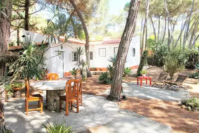 Image de ** Sintra Benjamim Vh's **