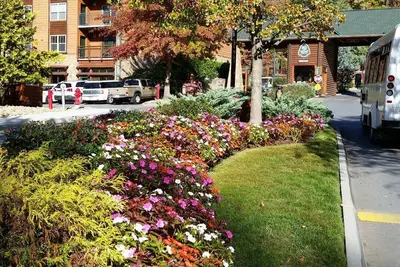 Image de Les dates disponibles du Westgate Smoky Mountain Resort 2020 seront confirmées avant la réservation