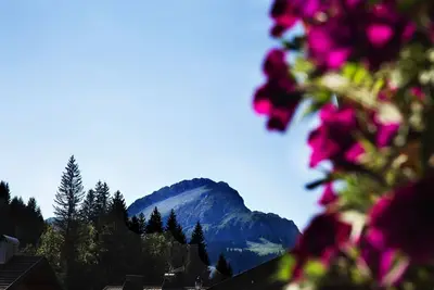 Chalet 10 personnes avec Wi-Fi, spacieux et moderne - Châtel Réservation