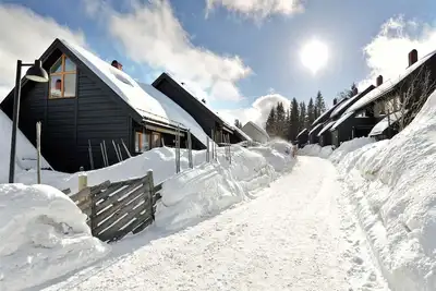 Image de Maison à Oslo près de Holmenkollen SkiJump et Tryvann Winter Park