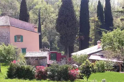 Image de Studio calme et spacieux dans un cadre verdoyant et ensoleillé
