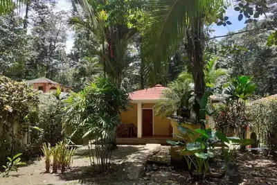 Image de Beach & Jungle Villas \/ Gps: 9 ° 39'10. 5''N82 ° 44'31. 9''W