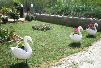 Image de Appartement dans Privlaka avec vue mer, Balcon, Climatisation, Wifi (667-3)